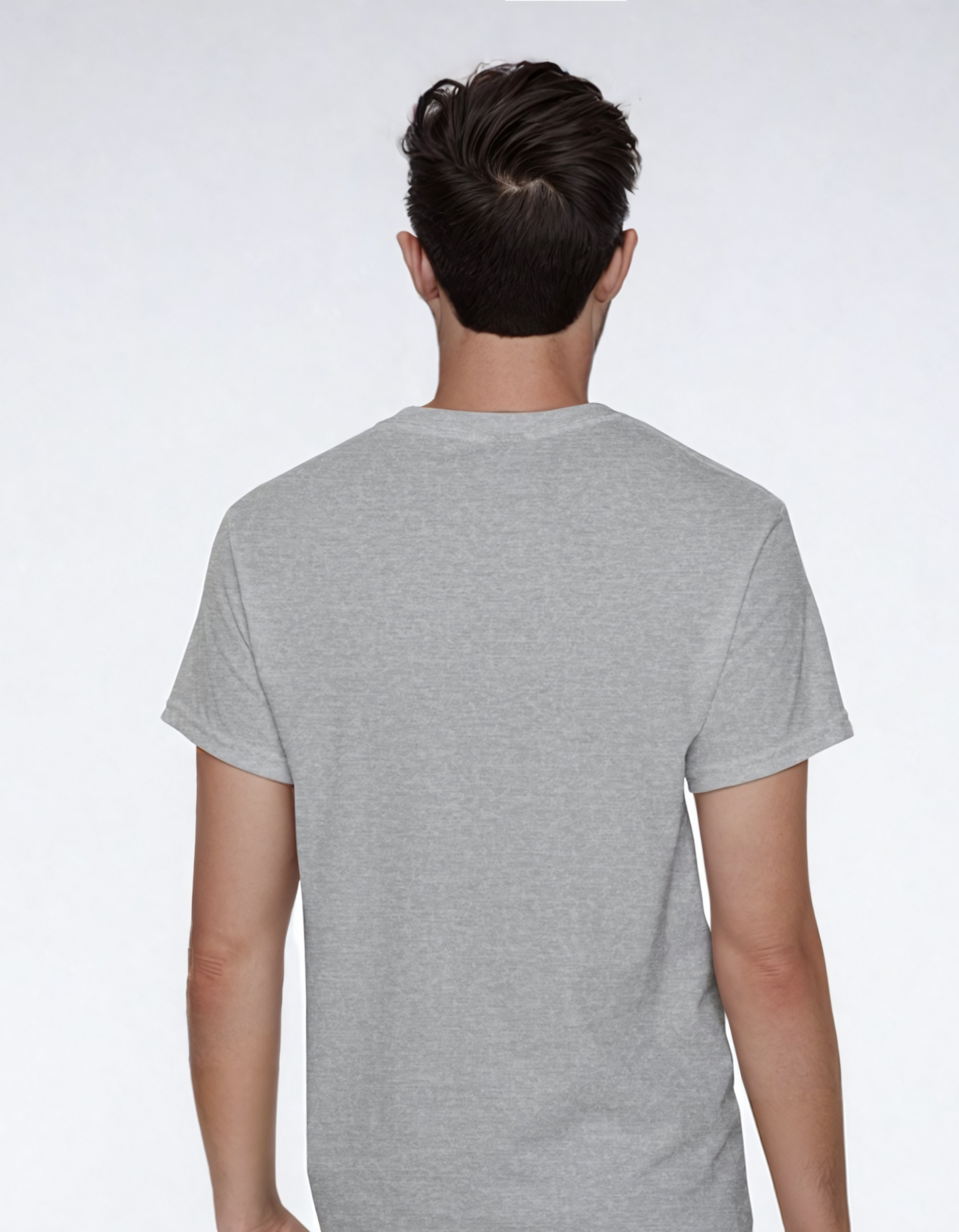 Apricity Gray T-Shirt